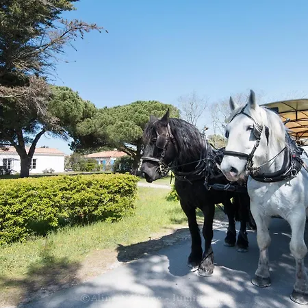 Kenavo - Maison Familiale Avec Vue